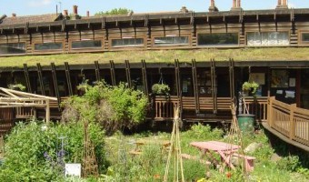<p>Centre For Wildlife Gardening - <a href='/triptoids/the-centre-for-wildlife-gardening'>Click here for more information</a></p>